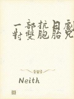 一部抗日剧有一对双胞胎兄弟