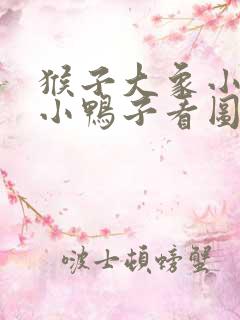 猴子大象小熊救小鸭子看图写话