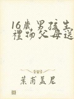 16岁男孩生日礼物父母送什么