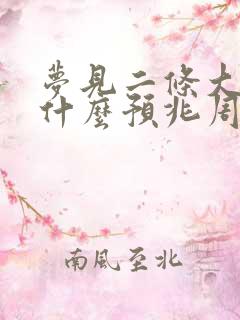 梦见二条大蛇是什么预兆周公解梦