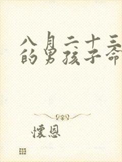 八月二十三出生的男孩子命运如何