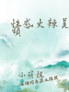 性感火辣美女视频