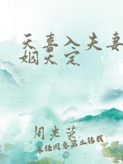 天喜入夫妻宫婚姻天定