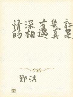 情深有几许我们的相遇真是悲伤结局