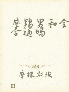 摩羯男和金牛女合适吗