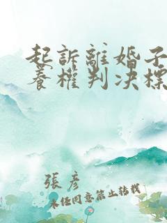 起诉离婚子女抚养权判决标准