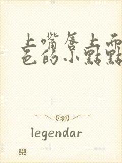 上嘴唇上面有白色的小点点怎么回事