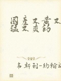 国产又黄又粗又猛又爽的