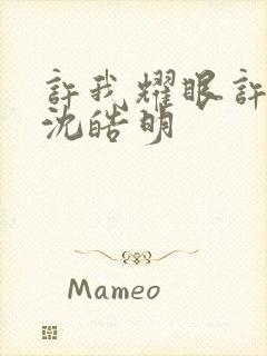 许我耀眼许妍和沈皓明