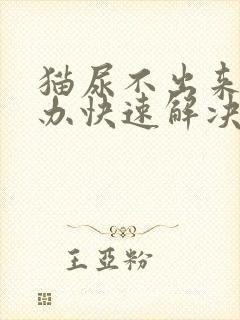 猫尿不出来怎么办快速解决