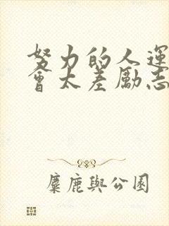 努力的人运气不会太差励志句子