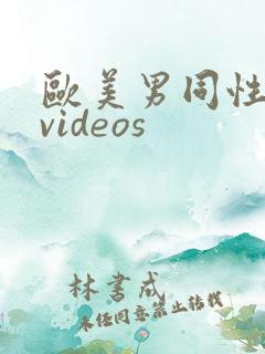 欧美男同性恋 videos