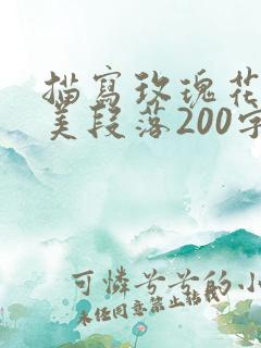 描写玫瑰花的优美段落200字