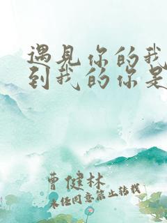 遇见你的我,碰到我的你是什么歌