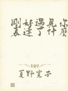 刚好遇见你歌词表达了什么意思