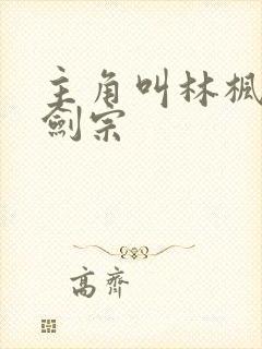 主角叫林枫神霄剑宗