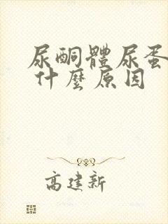 尿酮体尿蛋白1 什么原因