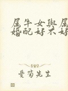 属牛女与属鸡男婚配好不好