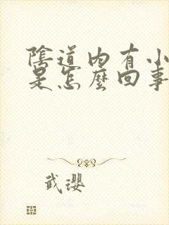 阴道内有小肉球是怎么回事