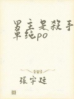 男主是杀手女主单纯po