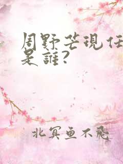 周野芒现任妻子是谁?