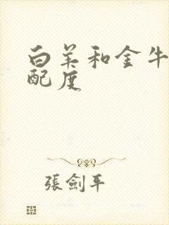 白羊和金牛的匹配度