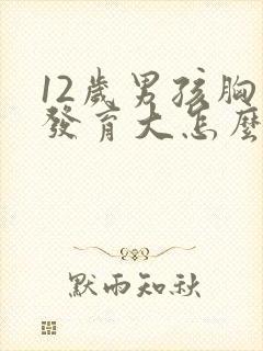 12岁男孩胸部发育大怎么回事