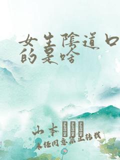 女生阴道口白色的是啥