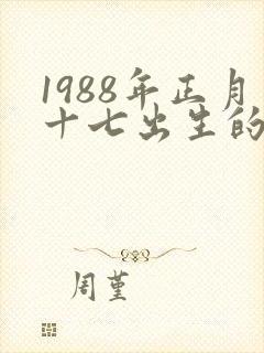 1988年正月十七出生的命运