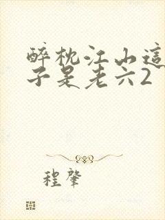 醉枕江山这个皇子是老六2