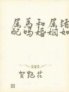 属马和属猪的相配吗婚姻如何