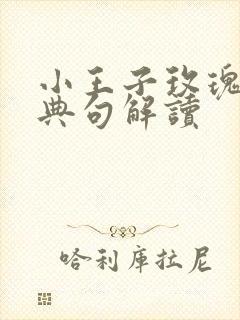 小王子玫瑰花经典句解读