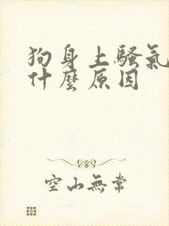 狗身上骚气味是什么原因