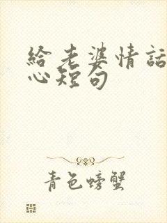 给老婆情话最暖心短句