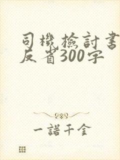 司机检讨书自我反省300字