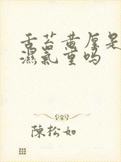 舌苔黄厚是体内湿气重吗