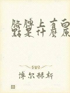 胳膊上有白色斑点是什么原因