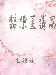 离婚了还可以起诉小三追回夫妻共同财产吗