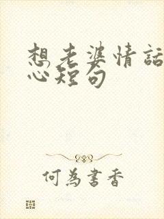 想老婆情话最暖心短句