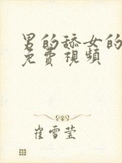 男的舔女的下面免费视频