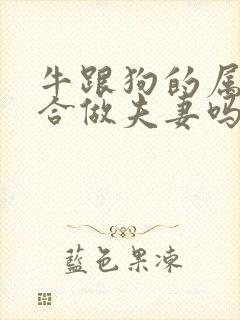 牛跟狗的属相适合做夫妻吗