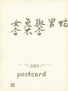 女兔与男蛇属相合不合