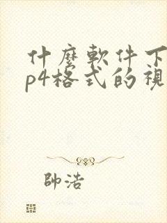 什么软件下载mp4格式的视频