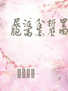 尿液分析里白细胞高怎么回事