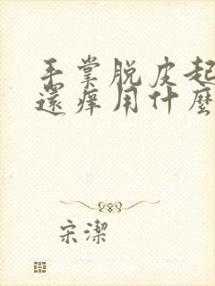 手掌脱皮起水泡还痒用什么药