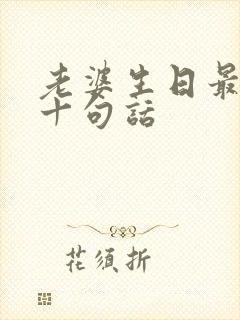 老婆生日最感动十句话