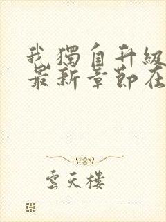 我独自升级小说最新章节在线阅读