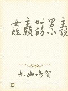 女主叫男主叔叔姓顾的小说