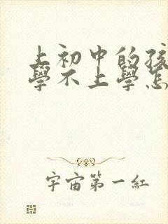 上初中的孩子厌学不上学怎么办