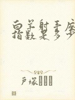 白羊射手座配对指数是多少